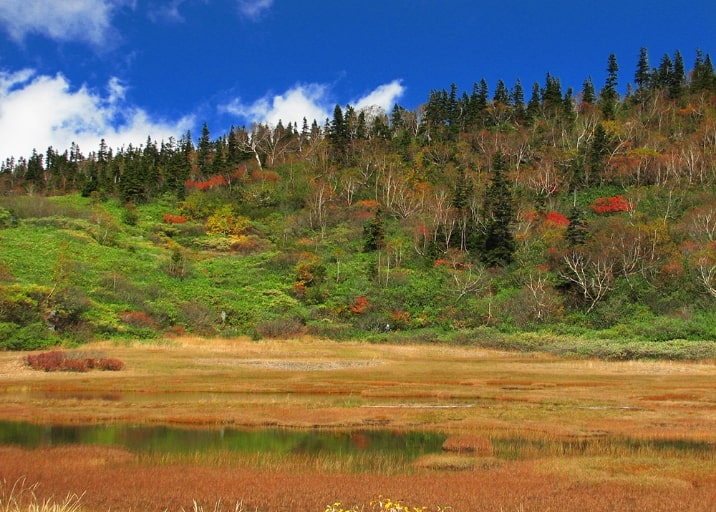 火打山の紅葉