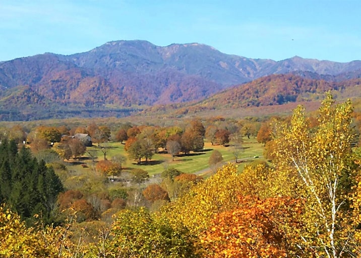 笹ヶ峰の紅葉